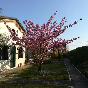 Casa Pianta Cavallino-Treporti